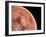 Venus, Artwork-null-Framed Photographic Print