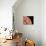 Venus, Artwork-null-Mounted Photographic Print displayed on a wall