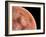 Venus, Artwork-null-Framed Photographic Print