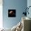 Venus, Artwork-null-Premium Photographic Print displayed on a wall