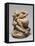 Vénus captivant l'Amour-Jean-Baptiste Carpeaux-Framed Premier Image Canvas