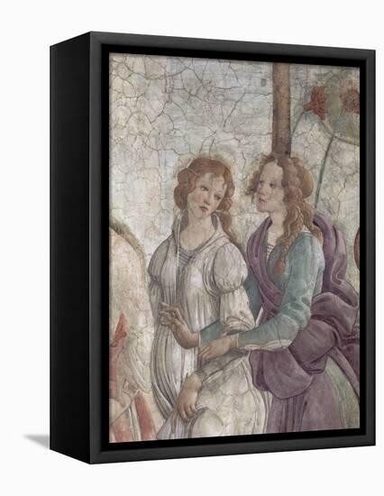 Vénus et les Grâces offrant des présents à une jeune fille-Sandro Botticelli-Framed Premier Image Canvas