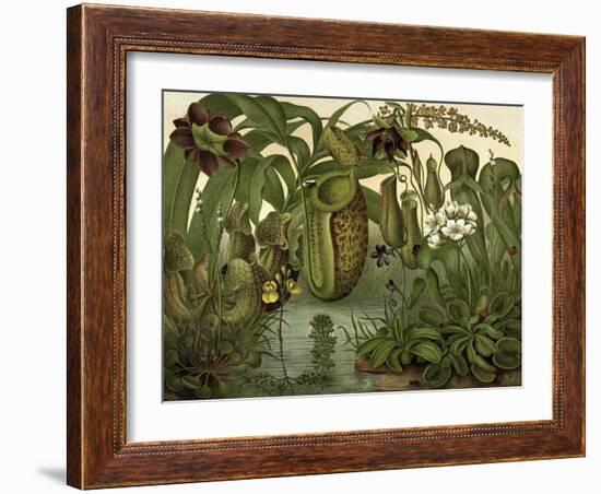 Venus Fly Trap-null-Framed Art Print