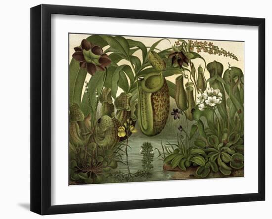 Venus Fly Trap-null-Framed Art Print