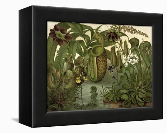 Venus Fly Trap-null-Framed Stretched Canvas