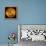 Venus, Magellan Image-null-Framed Premier Image Canvas displayed on a wall