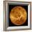 Venus, Magellan Image-null-Framed Premium Photographic Print