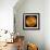 Venus, Magellan Image-null-Framed Premium Photographic Print displayed on a wall