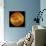 Venus, Magellan Image-null-Photographic Print displayed on a wall
