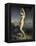 Venus Marine-Theodore Chasseriau-Framed Premier Image Canvas