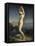 Venus Marine-Theodore Chasseriau-Framed Premier Image Canvas