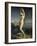 Venus Marine-Theodore Chasseriau-Framed Giclee Print