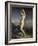 Venus Marine-Theodore Chasseriau-Framed Giclee Print