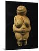Venus of Willendorf, One of the Many Stone-Age Female Idols of the Great Goddess-null-Mounted Giclee Print