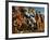 Venus Pouring a Balm on the Wound of Aeneas-Giovanni Francesco Romanelli-Framed Giclee Print