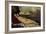 Venus Resting-Giorgione-Framed Giclee Print