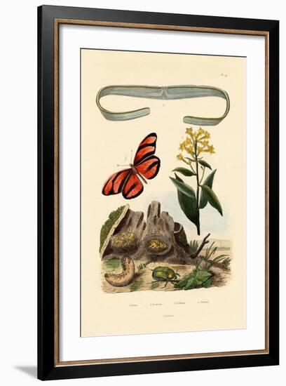 Venus's Girdle, 1833-39-null-Framed Giclee Print