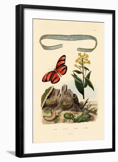 Venus's Girdle, 1833-39-null-Framed Giclee Print