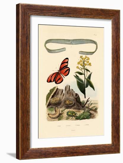 Venus's Girdle, 1833-39-null-Framed Giclee Print