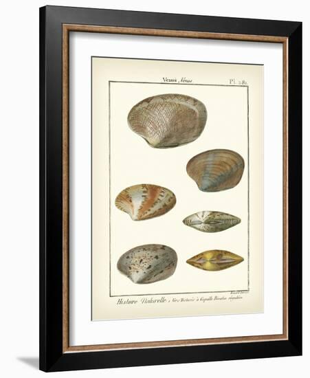 Venus Shells, Pl.281-Diderot-Framed Art Print