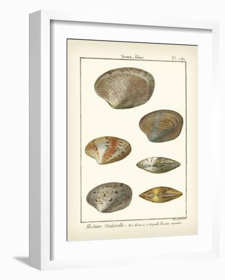 Venus Shells, Pl.281-Diderot-Framed Art Print