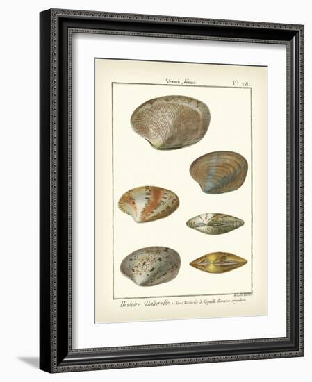 Venus Shells, Pl.281-Diderot-Framed Art Print