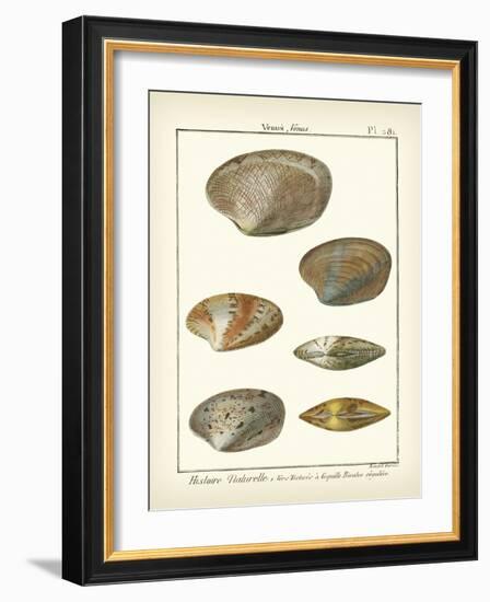 Venus Shells, Pl.281-Diderot-Framed Art Print