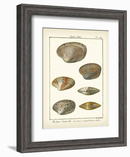 Venus Shells, Pl.281-Diderot-Framed Art Print