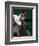 Venus Williams-null-Framed Photo