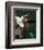 Venus Williams-null-Framed Photo