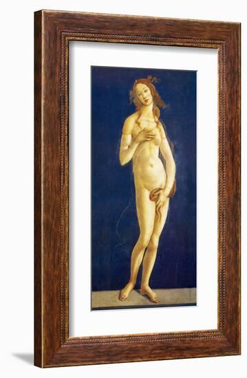 Venus-Sandro Botticelli-Framed Premium Giclee Print