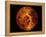 Venus-Stocktrek Images-Framed Premier Image Canvas