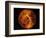 Venus-Stocktrek Images-Framed Photographic Print