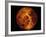 Venus-Stocktrek Images-Framed Photographic Print