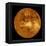 Venus-Stocktrek Images-Framed Premier Image Canvas