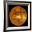 Venus-Stocktrek Images-Framed Photographic Print