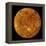 Venus-Stocktrek Images-Framed Premier Image Canvas