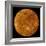 Venus-Stocktrek Images-Framed Photographic Print