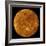 Venus-Stocktrek Images-Framed Photographic Print