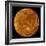 Venus-Stocktrek Images-Framed Photographic Print