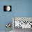 Venus-Chris Butler-Premium Photographic Print displayed on a wall