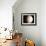 Venus-Chris Butler-Framed Photographic Print displayed on a wall