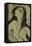 Venus-Rabi Khan-Framed Stretched Canvas