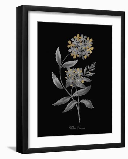 Verbena Coccinea - Luxe-A^ Poiteau-Framed Giclee Print