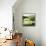 Verdant Daze I-Victoria Borges-Framed Stretched Canvas displayed on a wall