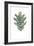 Verdant Details III-Grace Popp-Framed Art Print