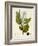 Verdant Foliage I-Vision Studio-Framed Art Print