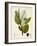 Verdant Foliage I-Vision Studio-Framed Art Print