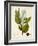 Verdant Foliage I-Vision Studio-Framed Art Print