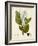 Verdant Foliage I-Vision Studio-Framed Art Print